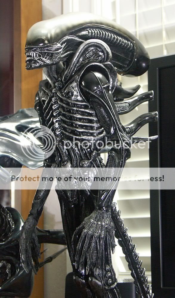 有冇人知依只异形边道有得卖/订